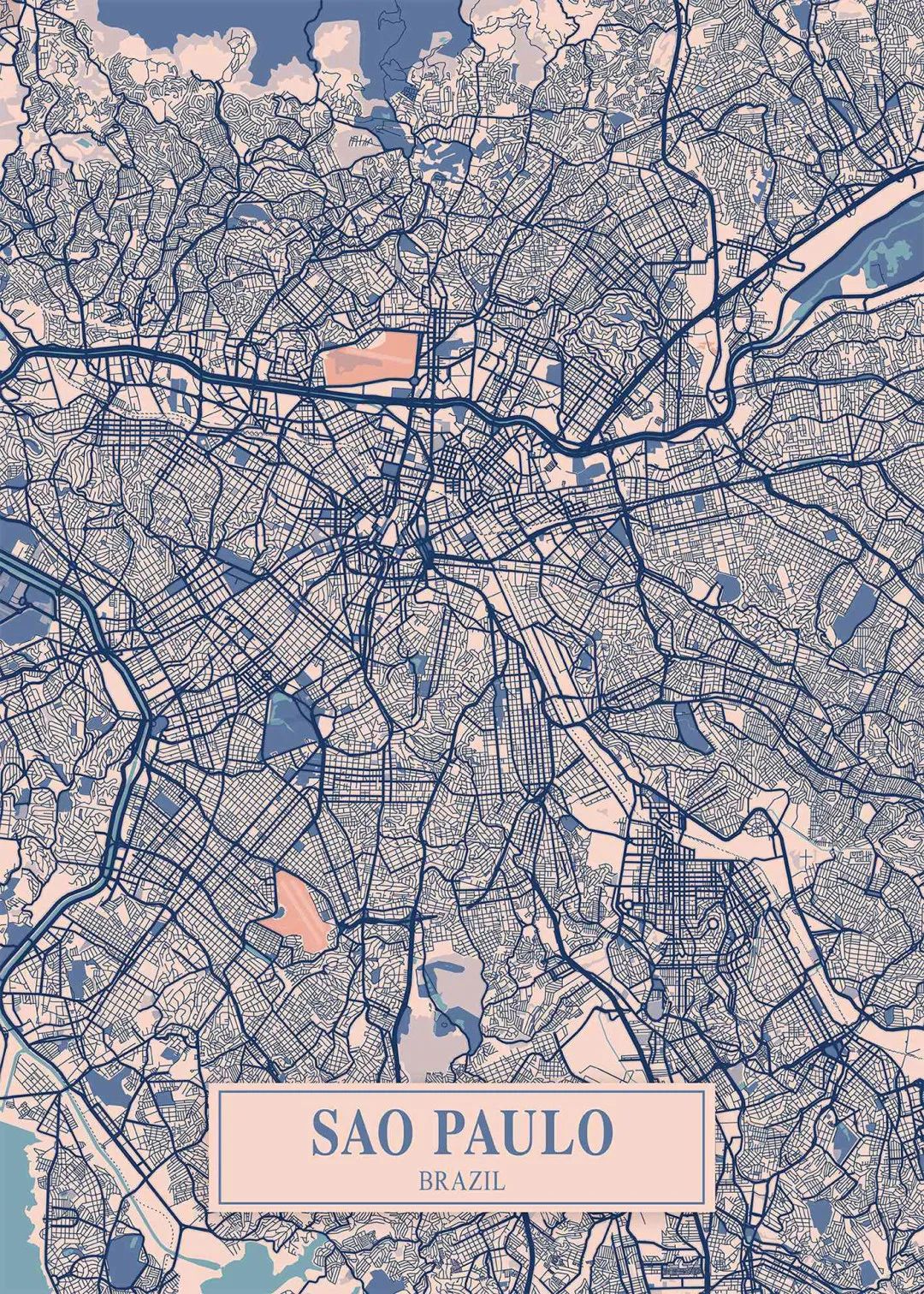 圣保罗的路网构成了城市的血脉，这也是一个城市的基因特征，虽然看起来很乱。是不是真有点“半格子”的意思？
